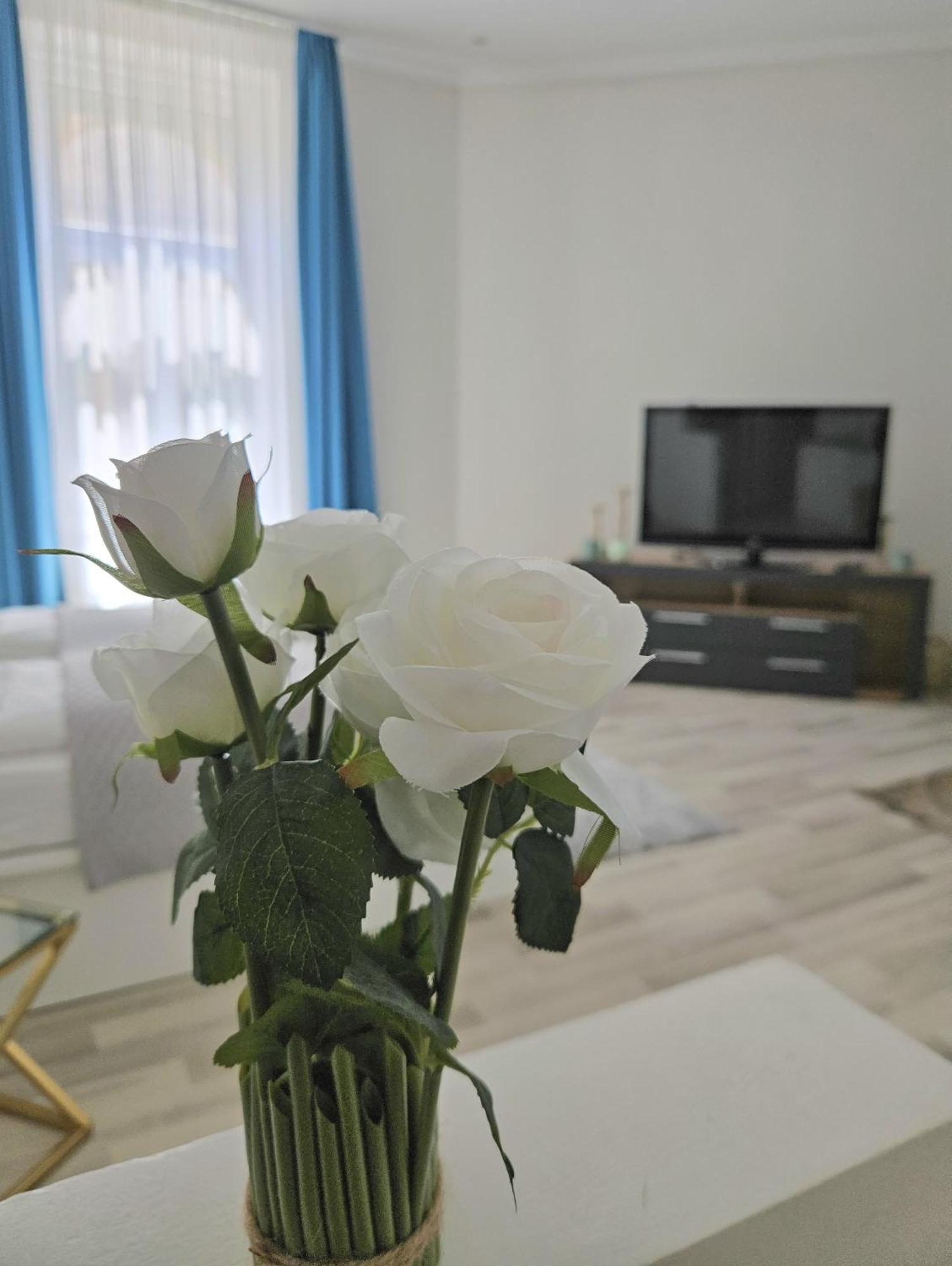 Designer Downtown Gem Apartment